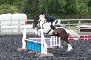 Class 5 - Fences not above 2'6